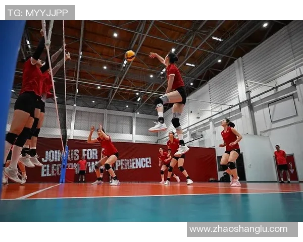 体育实时数据北京排球队总决赛速度表现分析与未来发展展望 体育实时数据北京排球队总决赛速度表现分析与未来发展展望