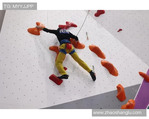 运动数据南京攀岩队的节奏探讨与攀岩文化的融合之旅 运动数据南京攀岩队的节奏探讨与攀岩文化的融合之旅