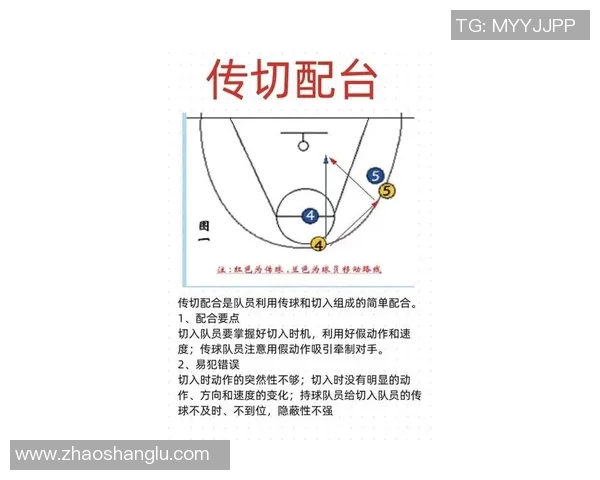 运动最新数据北京篮球队比赛经验分享：从战术执行到心理调适的全方位解析