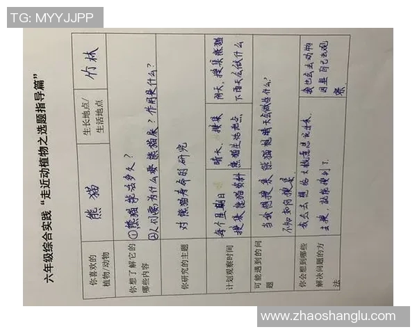 运动最新数据科学化排球战术训练方法探讨与实践指导分享 运动最新数据科学化排球战术训练方法探讨与实践指导分享