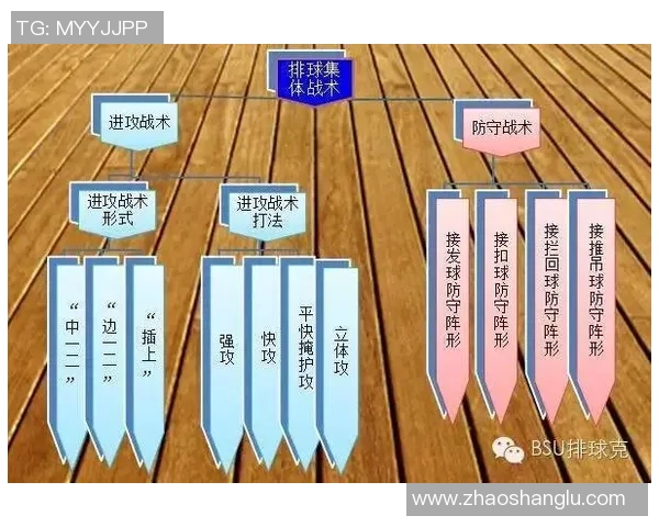 实时新闻上海排球队中路突破的战术解析与技术深度剖析 实时新闻上海排球队中路突破的战术解析与技术深度剖析